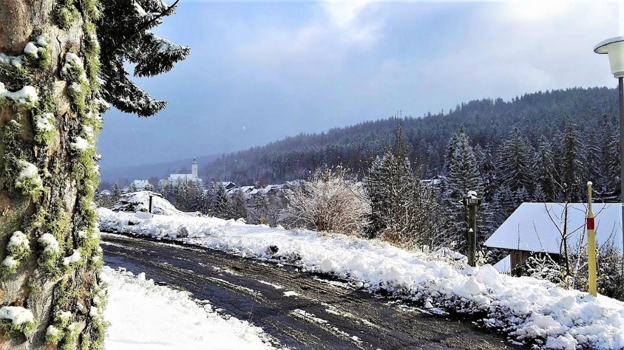 Penzion Sumavacek Bayerisch Eisenstein Εξωτερικό φωτογραφία